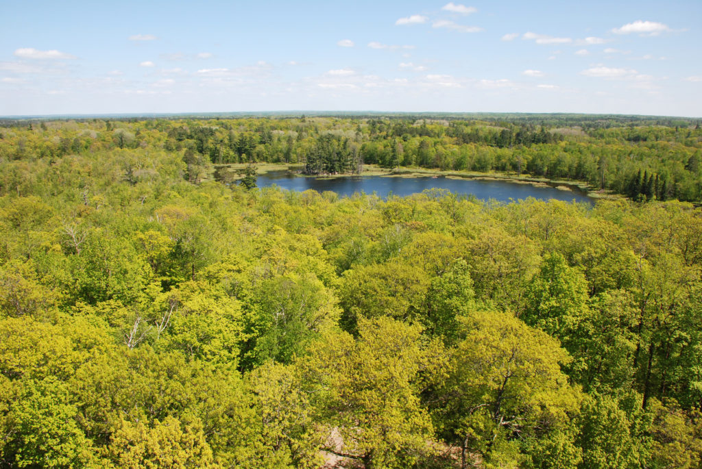 Itasca State Park Fire Tower View